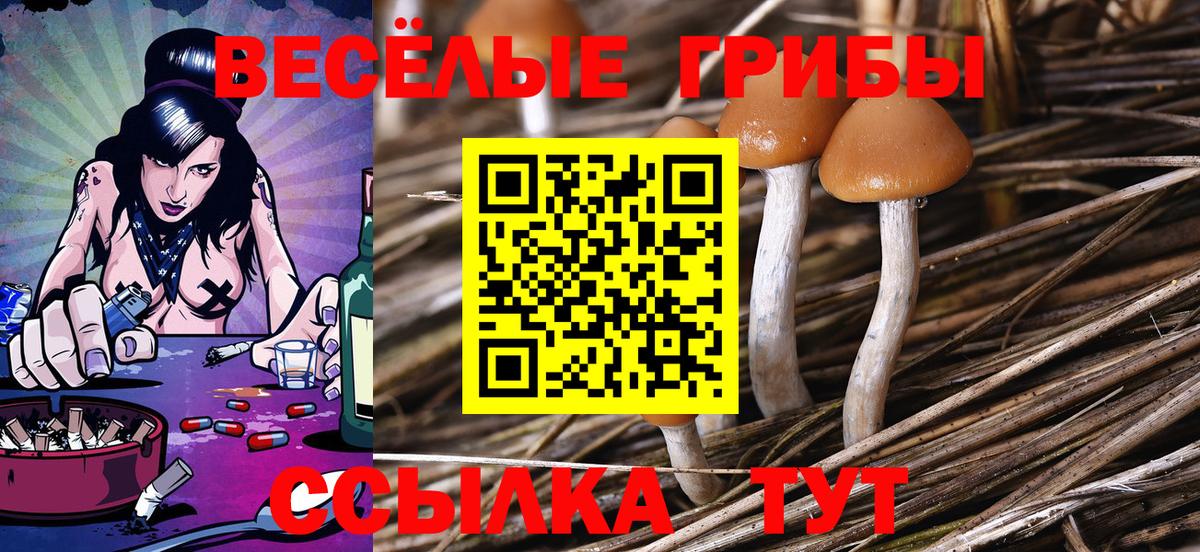 купить закладку  Галлюциногенные грибы Psilocybe  Вход с VPN  Оренбург  Галлюциногенные грибы мухоморы 